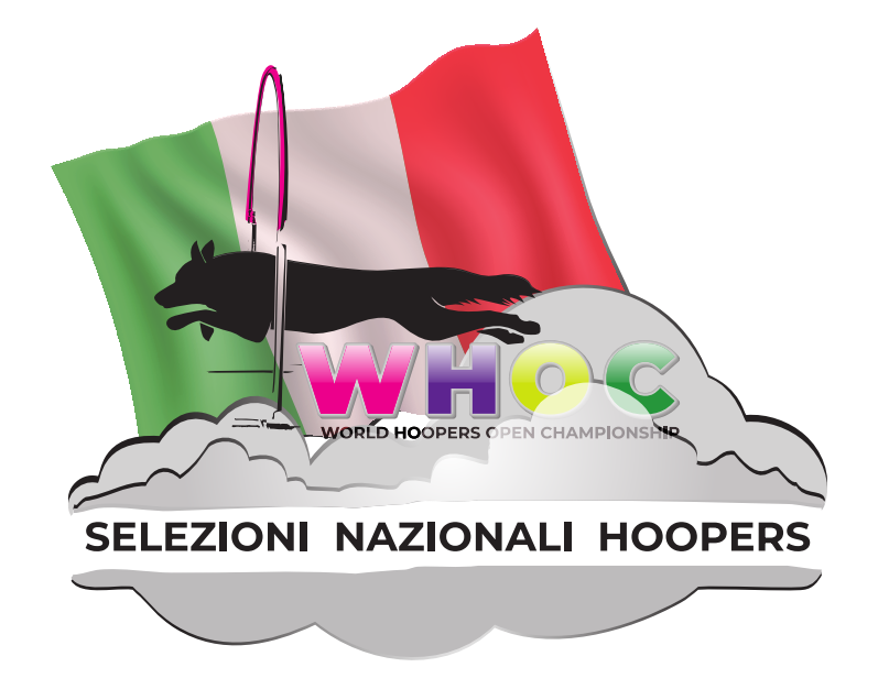 logo selezioni